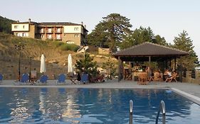 Vasilitsa Spa Resort