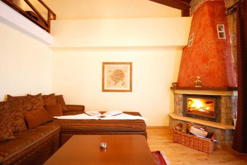 Vasilitsa Spa Resort Гревена Стая снимка