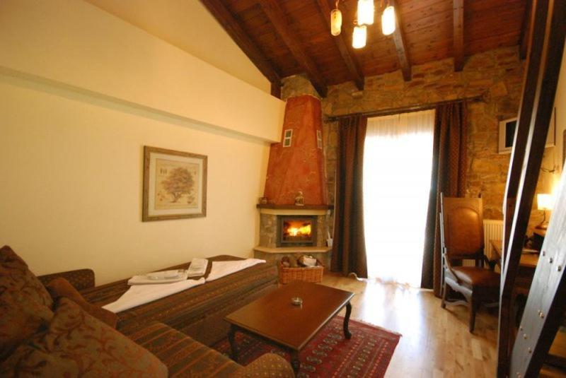 Vasilitsa Spa Resort Гревена Стая снимка