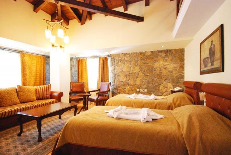 Vasilitsa Spa Resort Гревена Стая снимка