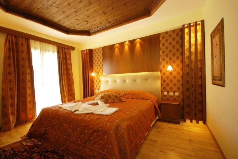Vasilitsa Spa Resort Гревена Стая снимка