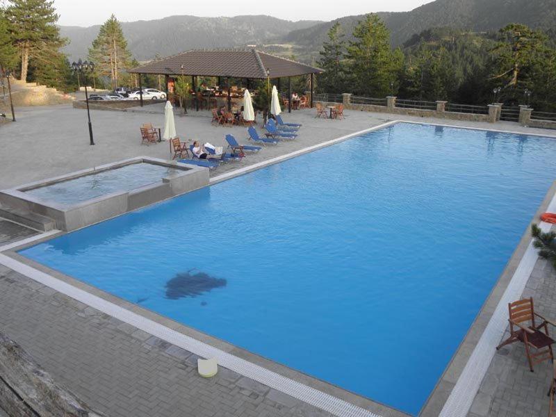 Vasilitsa Spa Resort Гревена Екстериор снимка